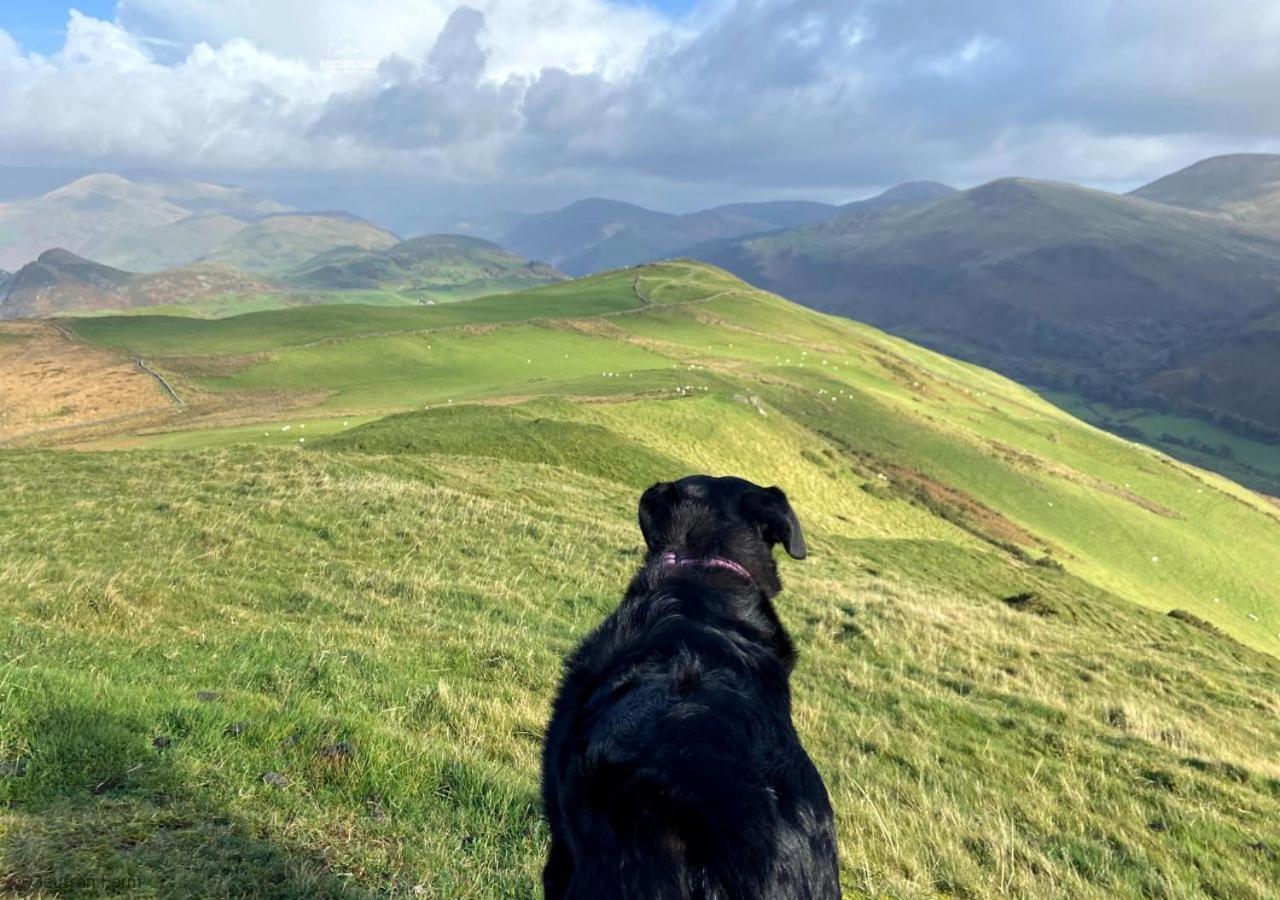 فيلا The Barn At Geufron Farm - Dog Friendly - Nr Tywyn Bryn-crug المظهر الخارجي الصورة