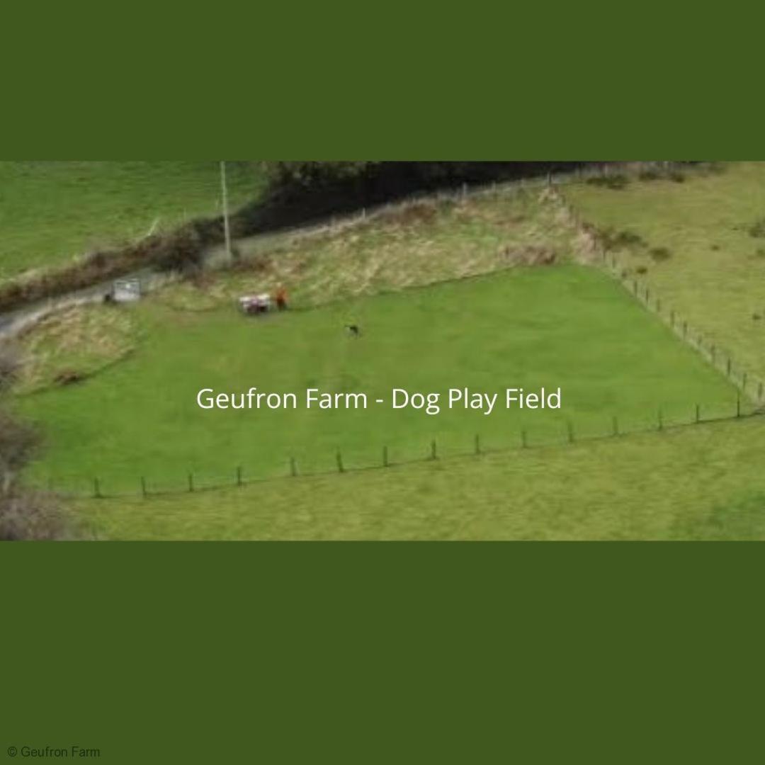 فيلا The Barn At Geufron Farm - Dog Friendly - Nr Tywyn Bryn-crug المظهر الخارجي الصورة